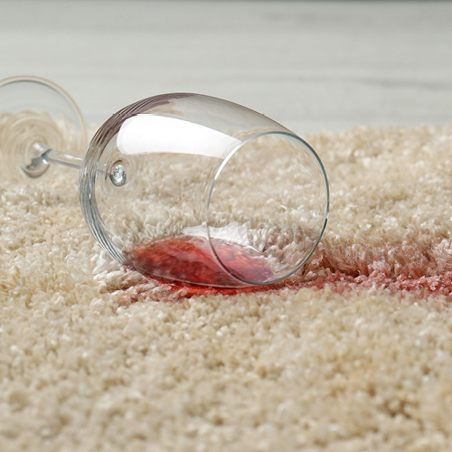 Teppichboden reinigen: Schluss mit Flecken